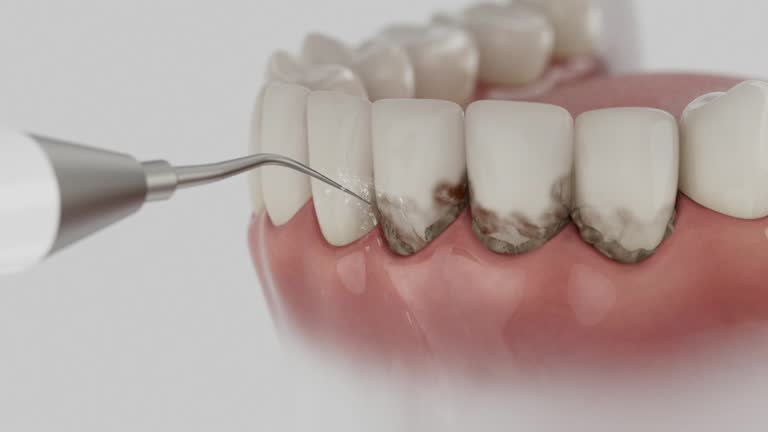 Reliable Dental contractor in Mount Airy, MD by Dentist Open Now